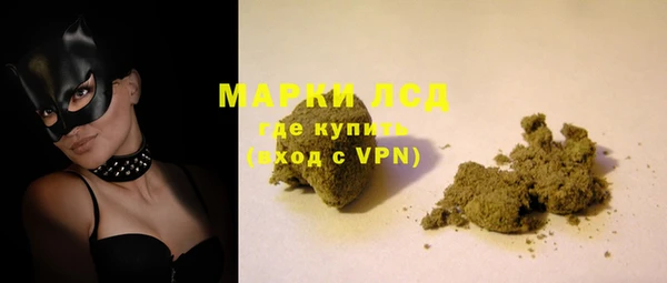 стаф Кулебаки