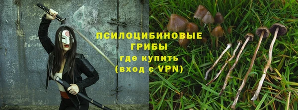 бошки Красноперекопск