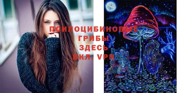 стафф Куйбышев