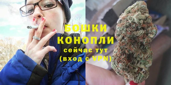 винт Коряжма