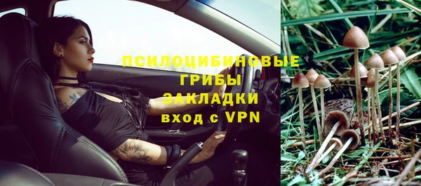 прущий лед Краснослободск