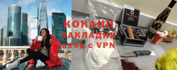 шишки Краснотурьинск