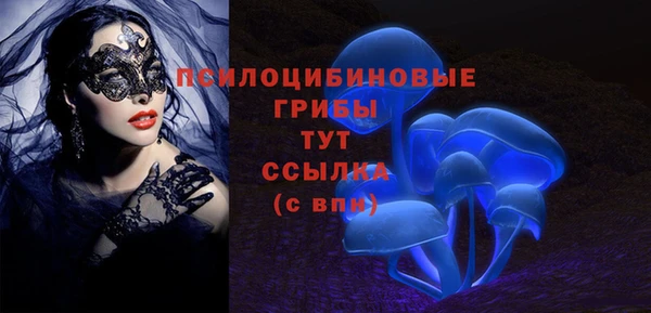 шишки Краснотурьинск