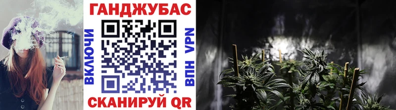 где купить наркоту  Купино  Шишки марихуана индика 